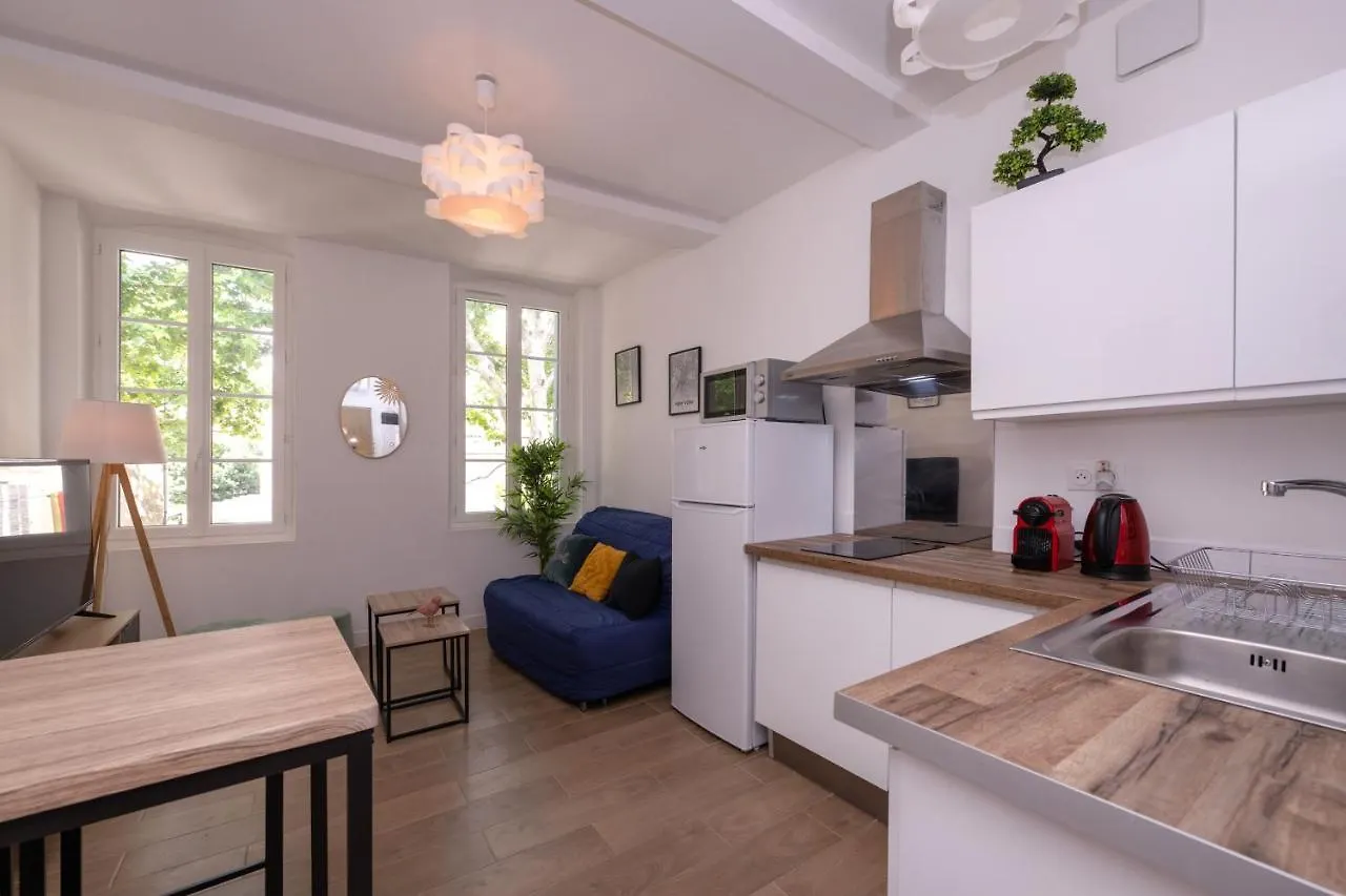 Le Nostradamus - Magnifique Appartement Cours Principal Plein Centre Avec Parking Salon-de-Provence Apartment